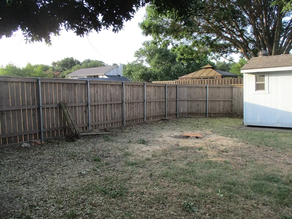 Cleared yard after professional tree removal in Curlew